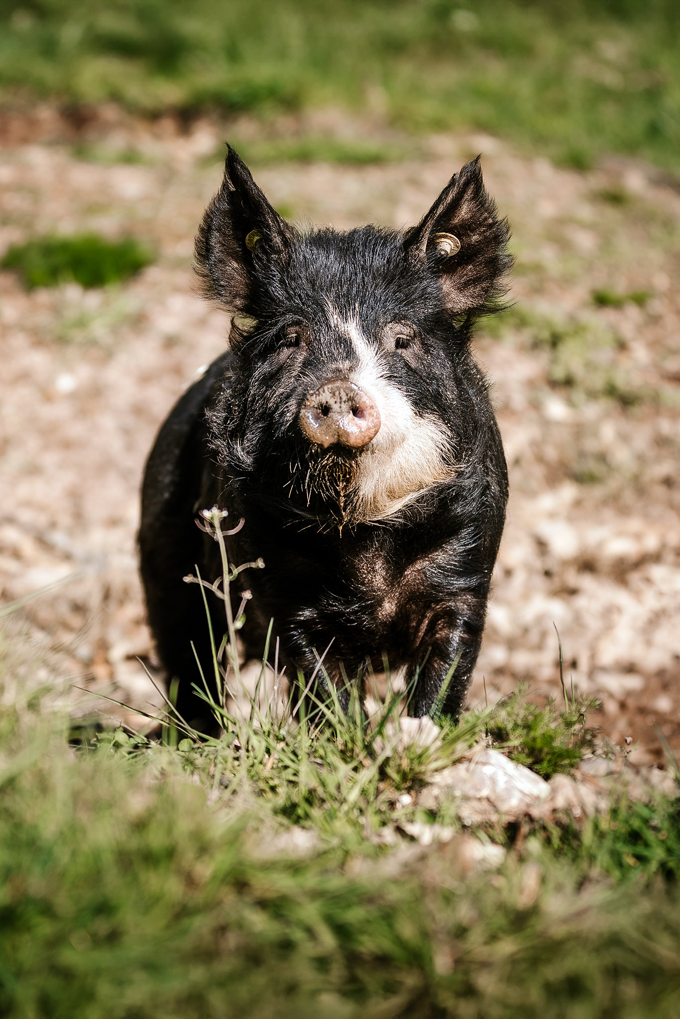 1S7A4785_web_hochformat