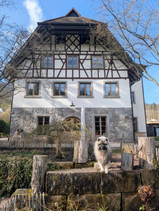 PXL_20250220_130743708