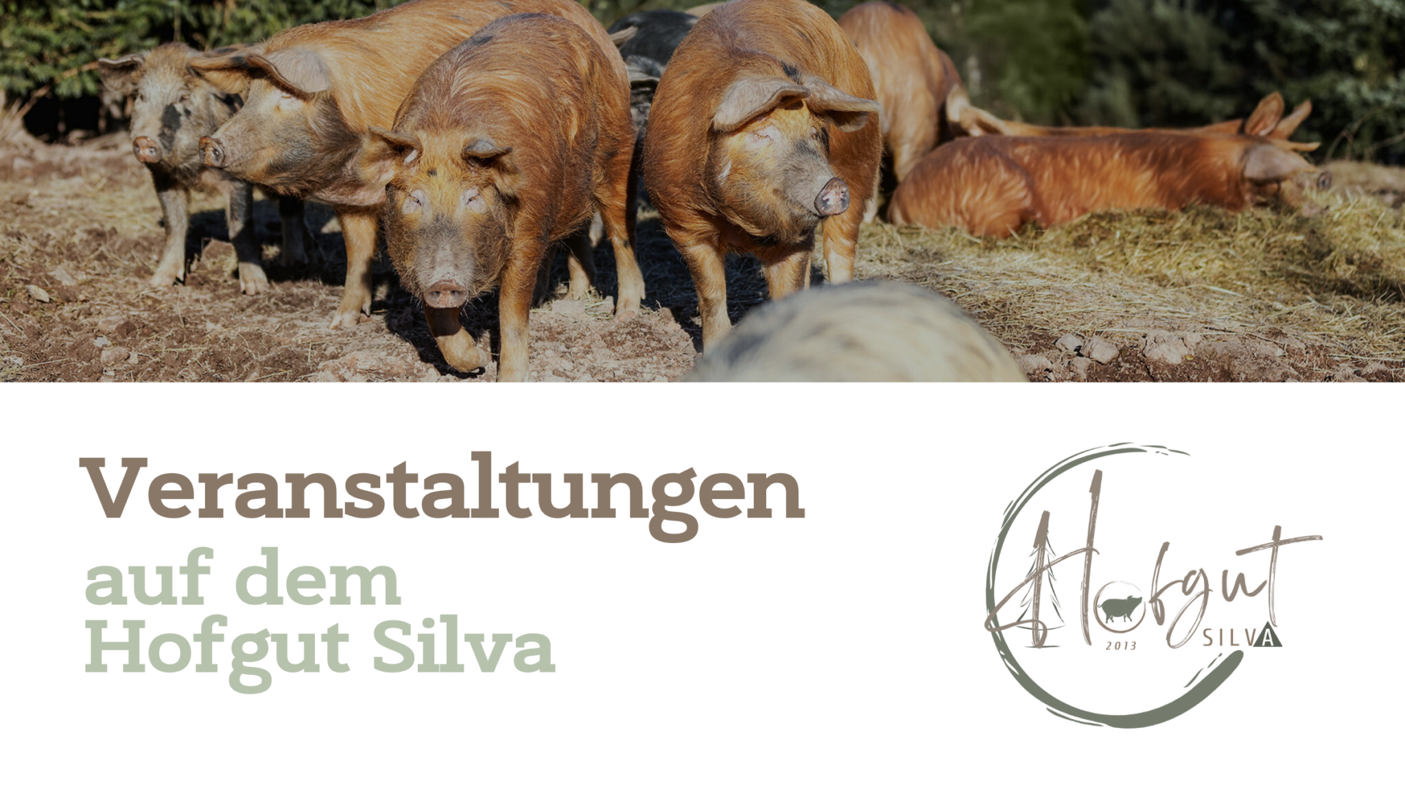 Veranstaltungen Header