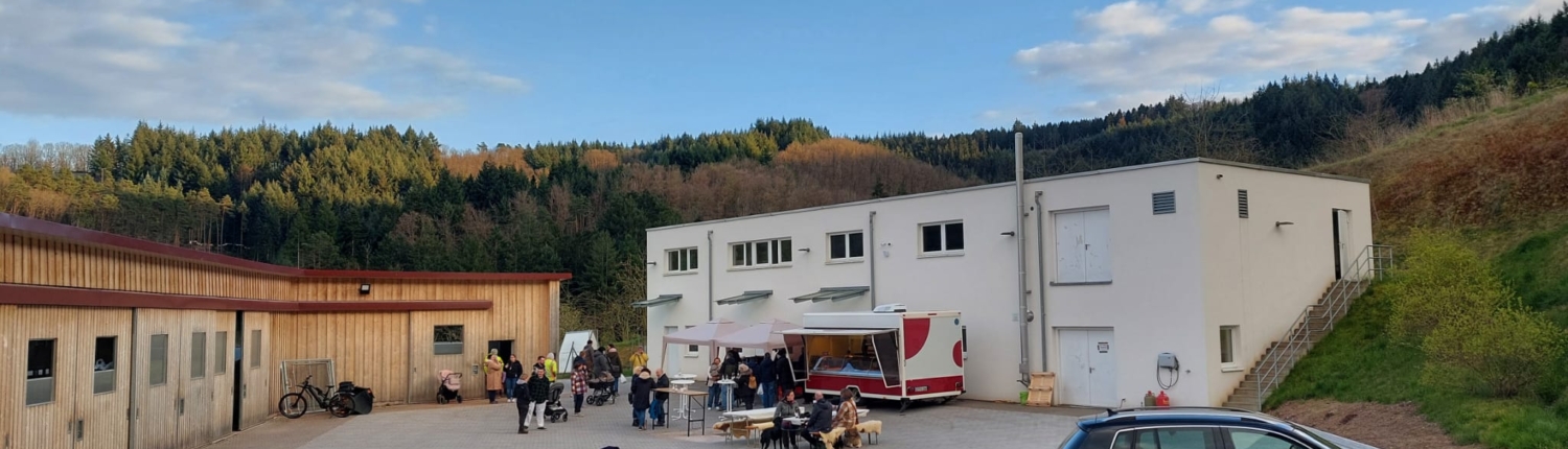 WhatsApp Image 2026-03-27 at 21.17.47 (1)